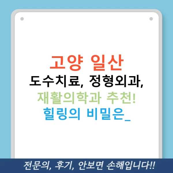 고양 일산 도수치료, 정형외과, 재활의학과 추천! 힐링의 비밀은?