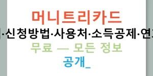 머니트리카드 혜택·신청방법·사용처·소득공제·연회비 무료 — 모든 정보 공개!
