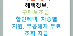 저공해차 혜택정보, 구매보조금, 할인혜택, 차종별 지원, 무공해차 무료 조회 지금 확인하세요!