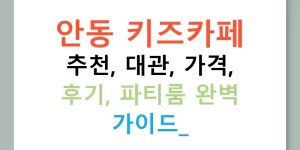 안동 키즈카페 추천, 대관, 가격, 후기, 파티룸 완벽 가이드!