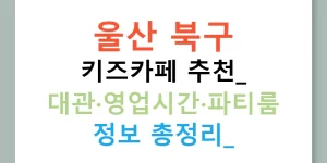 울산 북구 키즈카페 추천: 대관·영업시간·파티룸 정보 총정리!