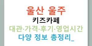 울산 울주 키즈카페 대관·가격·후기·영업시간 다양 정보 총정리!