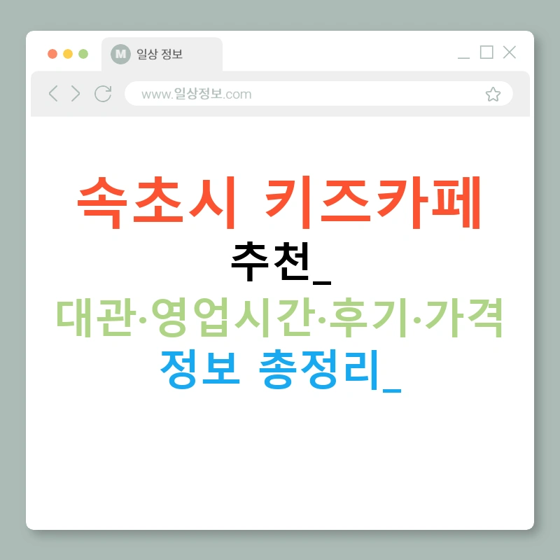 속초시 키즈카페 추천: 대관·영업시간·후기·가격 정보 총정리!